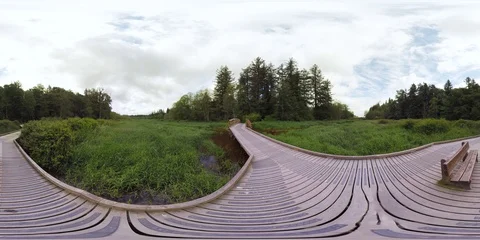 A bridge and a path in the middle of a marsh - 360 VR Video stock 90437355