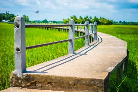 The bridge and rice fields. Foto stock