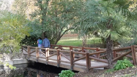 Bridge and river in El Retiro Park Stock Footage 293739682