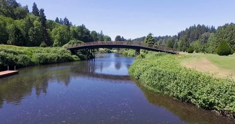 Bridge and river long Stock Footage 93602379