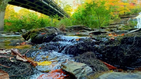 Bridge and stream Stock Footage 219190247