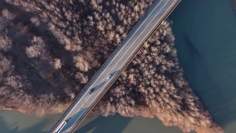 Bridge and traffic from the air Stock Footage 168628705