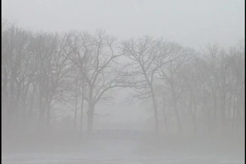 Bridge and Trees in Fog Stock Footage 296887