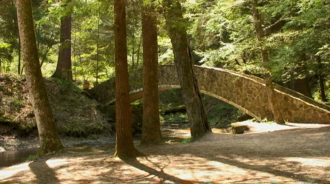 Bridge and trees Video stock 931355