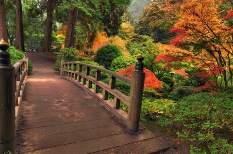 Bridge in autumn Stock Photos