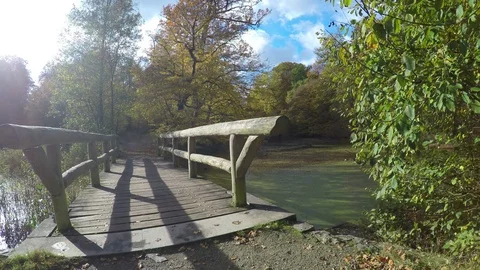 Bridge on the autumn pond. Stock Footage 71206268