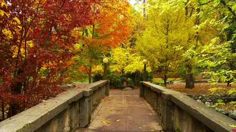 Bridge in Autumn, Zoom In Stock Footage 35317867