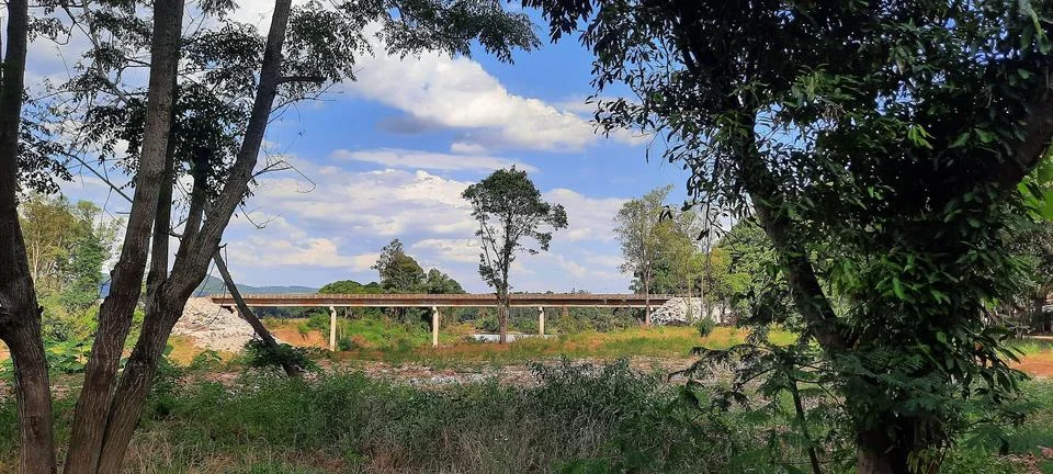 Bridge in the background between trees with blue sky and clouds Foto stock