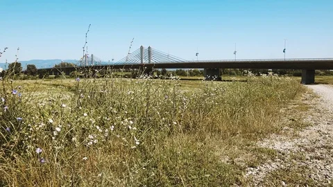 The  Bridge in the background Stock Footage 111533419