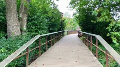 Bridge Background Video stock 220514041