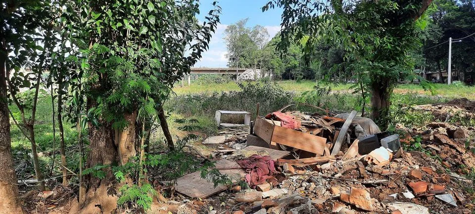 Bridge in the background, trash between the trees in the middle of nature Stock Photos