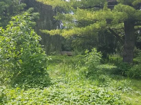 A bridge beyond Foto stock