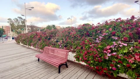 Bridge of blooming flower Stock Footage 134930326
