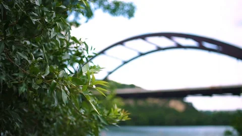 Bridge Breeze Nature River Stock Footage 124161040