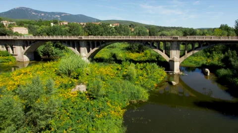 Bridge with Car Traffic from Afar and Trees Underneath in Timelapse Video stock 34204439