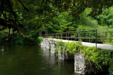 Bridge Cong 스톡 사진