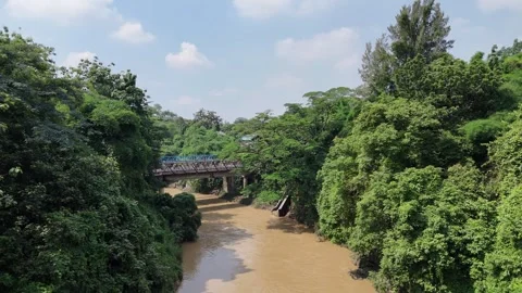 Bridge connecting housing complex Stock Footage 261490210