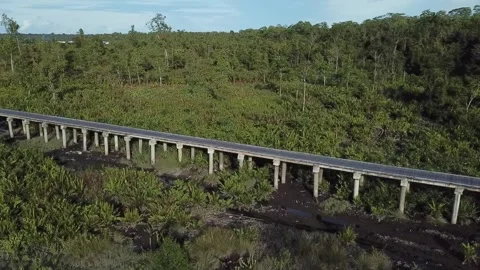 Bridge construction forest  Video stock 297830245