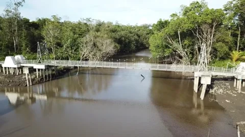 Bridge construction river forest Stock Footage 297830347