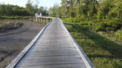 Bridge construction tropical forest Stock Footage 297830309