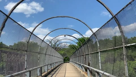 A bridge crosses over I-66 in Arlington Stock Footage 141283248