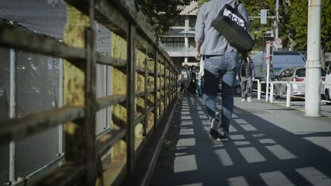 Bridge Crossing Video stock 96038456