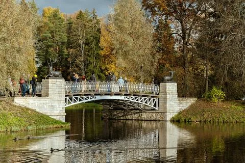 Bridge with deer. Stock Photos