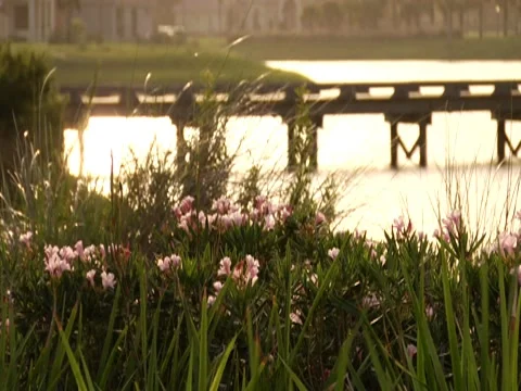 Bridge during sunset Stock Footage 8701188