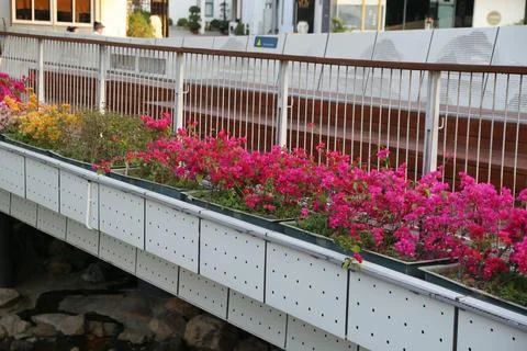 The bridge is equipped with flower boxes, adorned by colorful bougainvillea.. Stock Photos