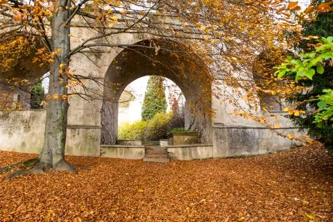 Bridge in the fall Stock Photos