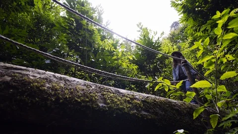 Bridge from fallen tree trunk in park Stock-Footage 100433063