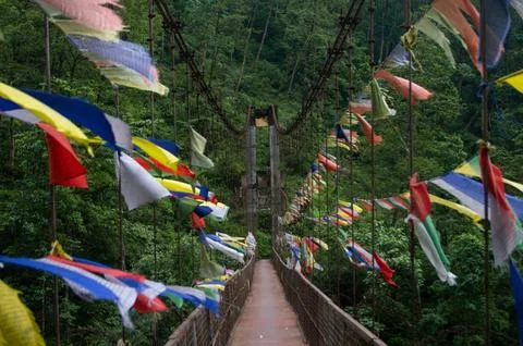The bridge of flags Stock Photos