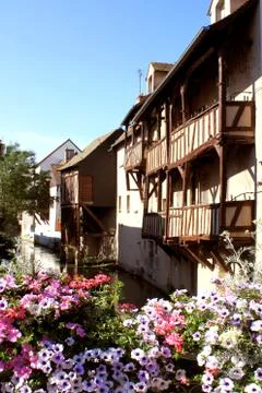 Bridge in flowers Stock Photos