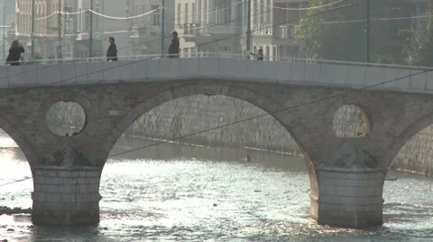Bridge. 動画素材 8660967
