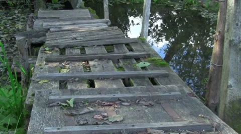 Bridge Vídeo Stock 8683236