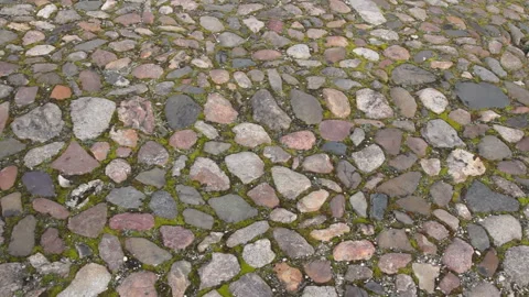 Bridge 動画素材 89695784