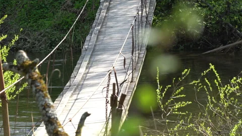 Bridge 動画素材 90239742