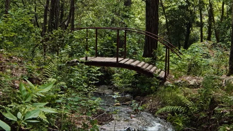 Bridge Stock Footage 136208662
