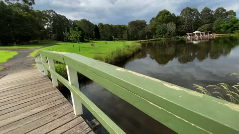 Bridge Video stock 143644115