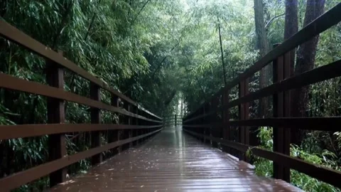 Bridge 库存影片 211414213