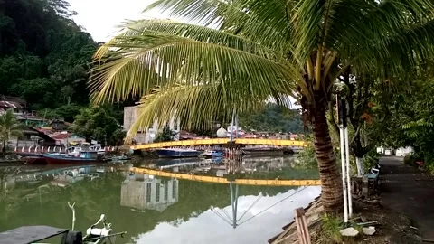 Bridge Stock Footage 223280831