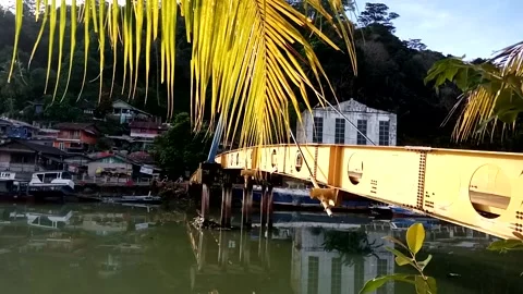 Bridge Video stock 223281425