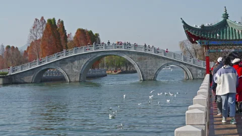 Bridge Stock Footage 233894326