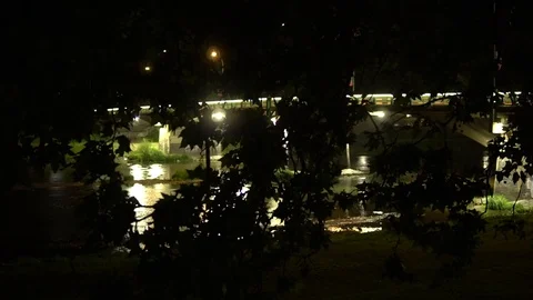 Bridge. In the foreground, leaves on the background of the Bridge with beautiful Video stock 92086247