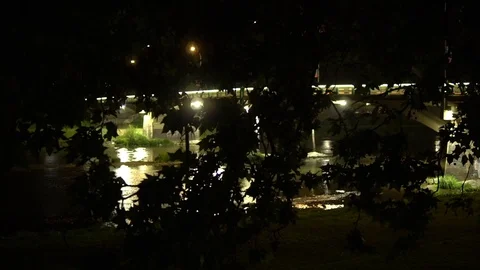 Bridge. In the foreground, leaves on the background of the Bridge with beautiful Stock Footage 92161624