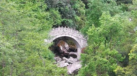 Bridge in the forest. Stock Footage 47869962