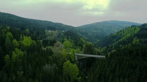 Bridge in Forest 스톡 동영상 249086734