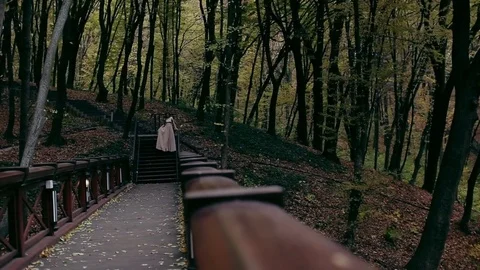 Bridge in the forest. A girl in a long dress goes to a meeting with a guy. The Stock Footage