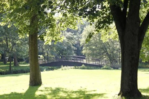Bridge in the forest of illinois Stock Photos