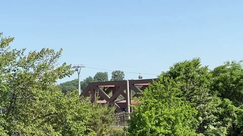 Bridge in forest at Korea DMZ Stock Footage 242162837